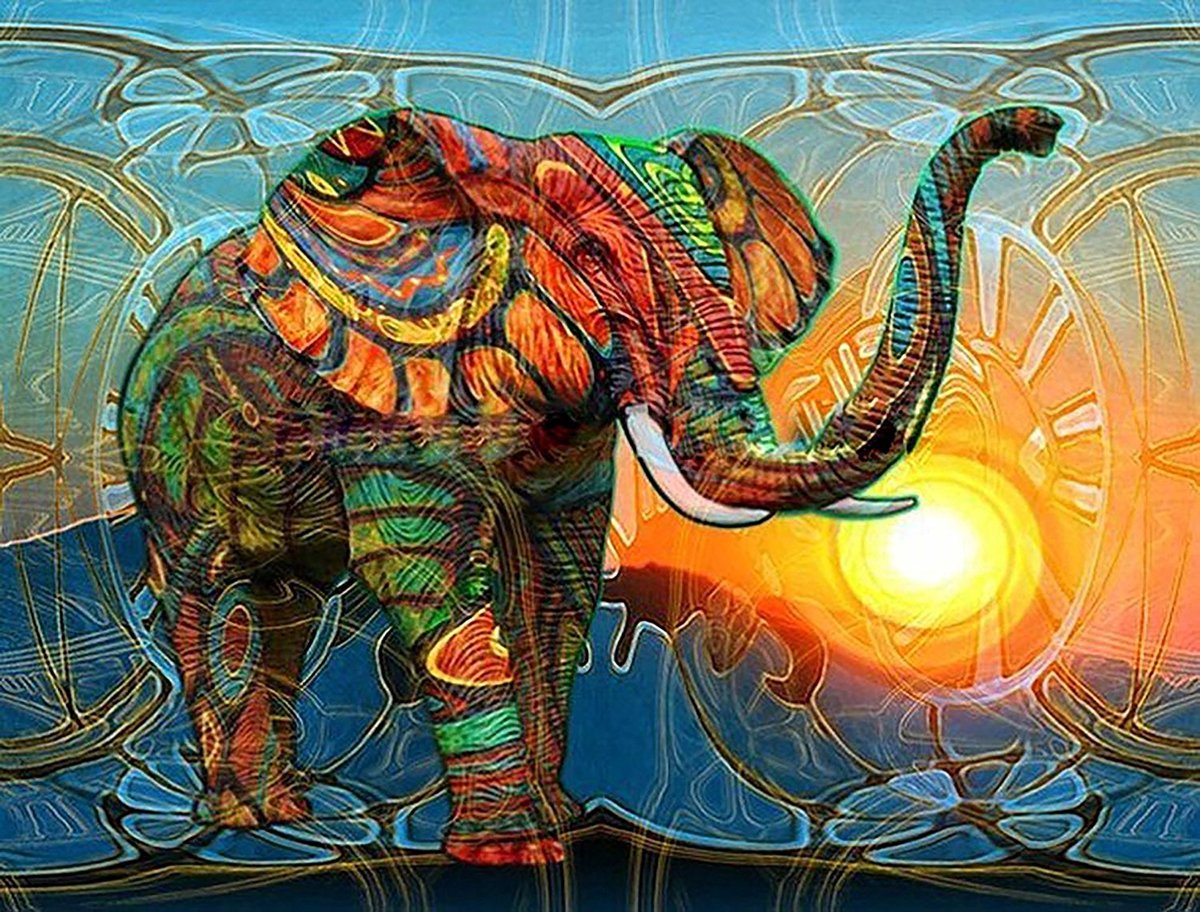 HobbyCave Schilderen Op Nummer - 40x50cm - Paint By Number - Volwassenen - Dieren - DIY - Canvas Schilderijen - Gekleurde Olifant