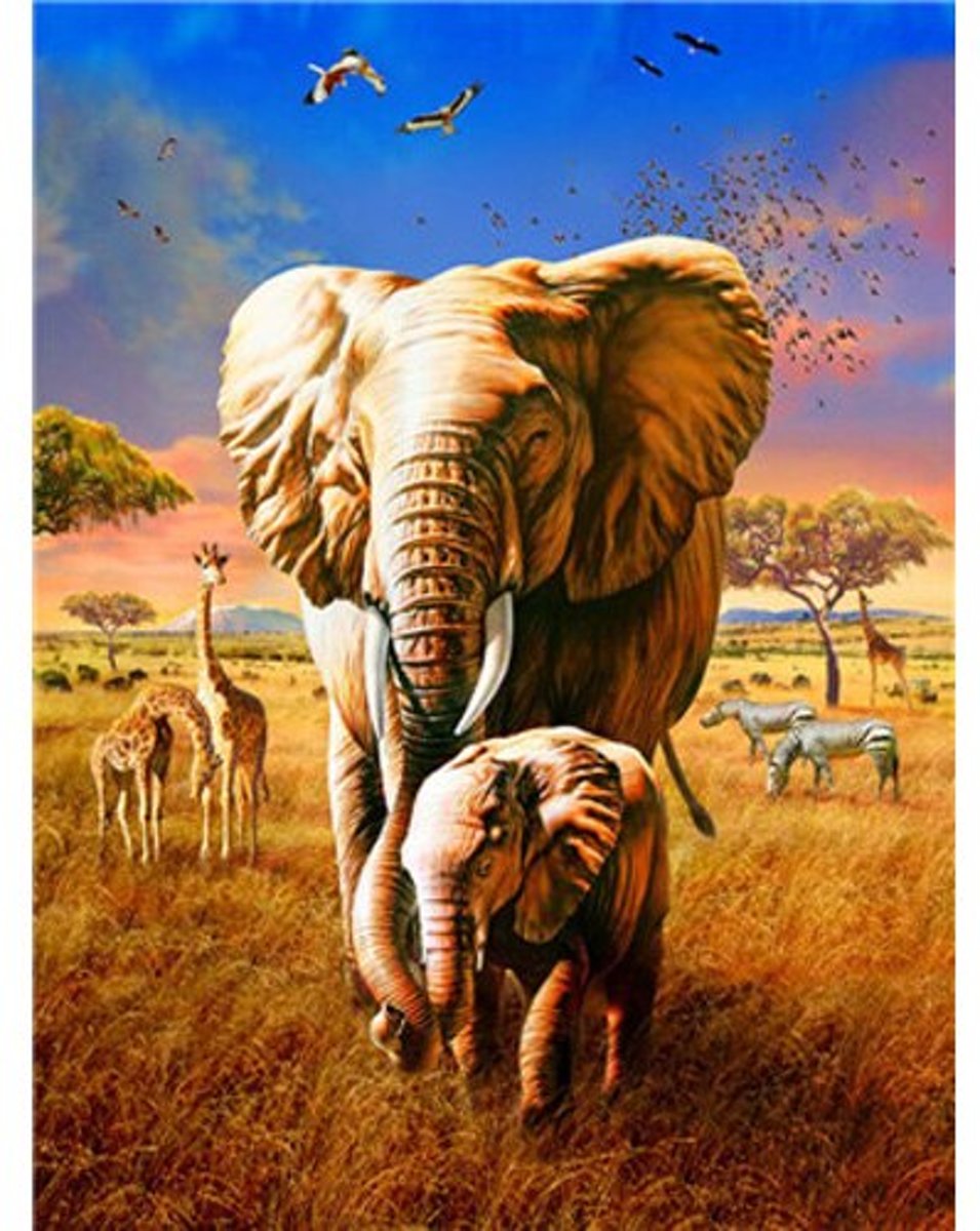 HobbyCave Schilderen Op Nummer - Olifant En Baby Olifantje - Verven Op Nummer - 40x50cm - DIY Pakket - Hobbypakket - Paint By Numbers Nederland - Kinderen - Volwassenen - Nummer Schilderen - Nummer Verven - Verf Op Nummer