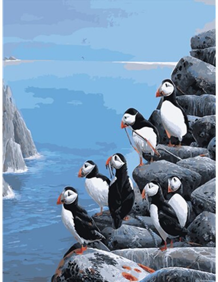 HobbyCave Schilderen Op Nummer - Pinguins Op Rots - Verven Op Nummer - 40x50cm - DIY Pakket - Hobbypakket - Paint By Numbers Nederland - Kinderen - Volwassenen - Nummer Schilderen - Nummer Verven - Verf Op Nummer