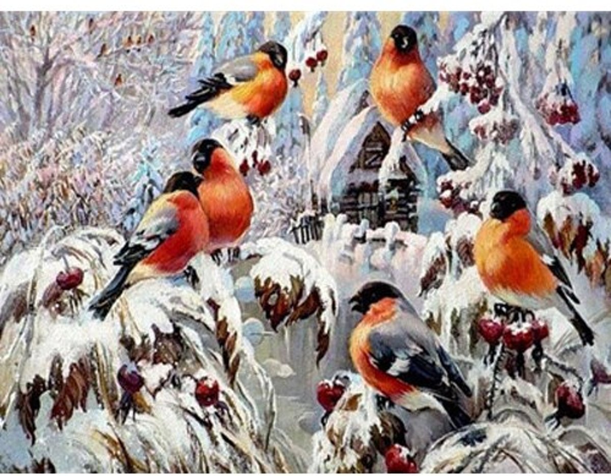 HobbyCave Schilderen Op Nummer - Vogels In De Sneeuw - Verven Op Nummer - 40x50cm - DIY Pakket - Hobbypakket - Paint By Numbers Nederland - Kinderen - Volwassenen - Nummer Schilderen - Nummer Verven - Verf Op Nummer