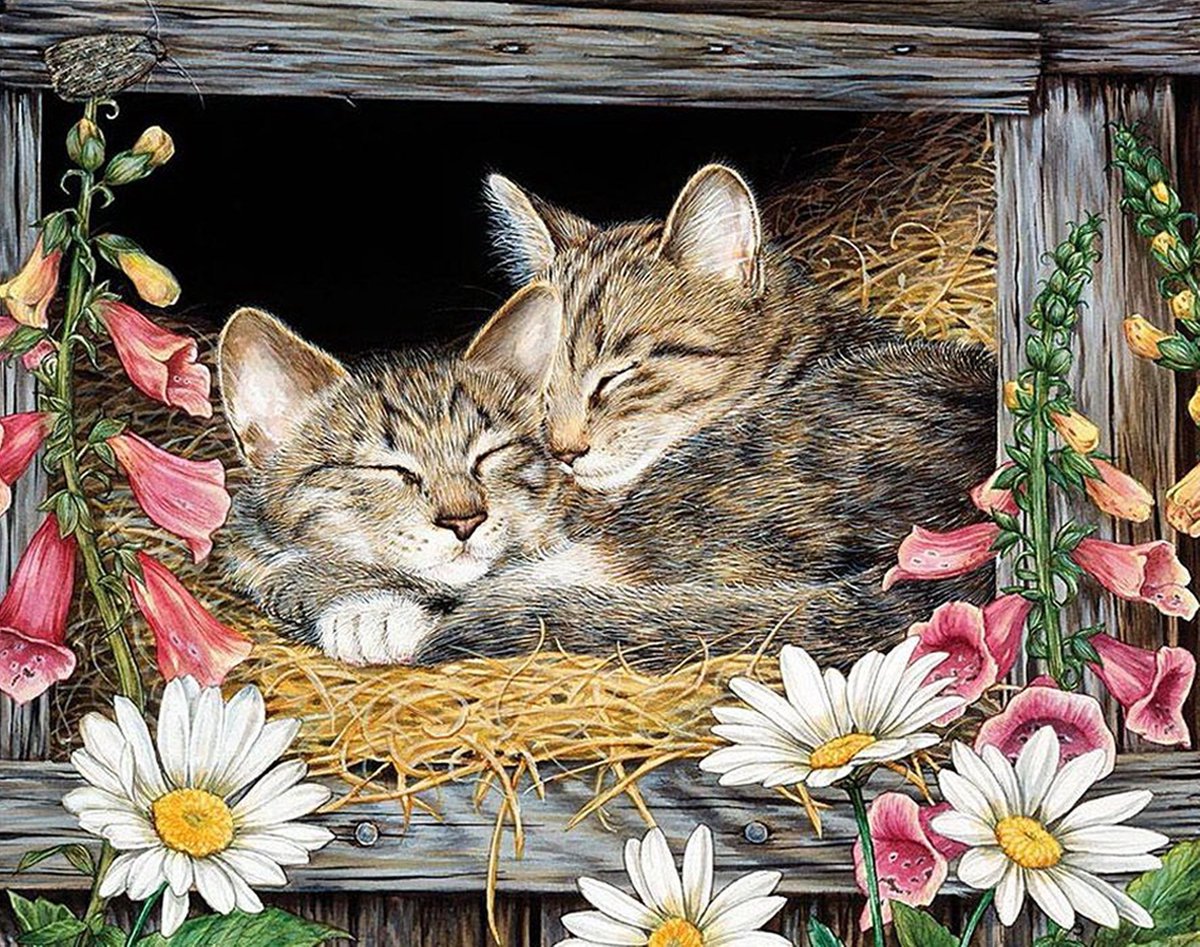 Hobbycave Diamond Painting en Accessoires - 35x45cm - Vierkante Steentjes - Hobby - Kittens