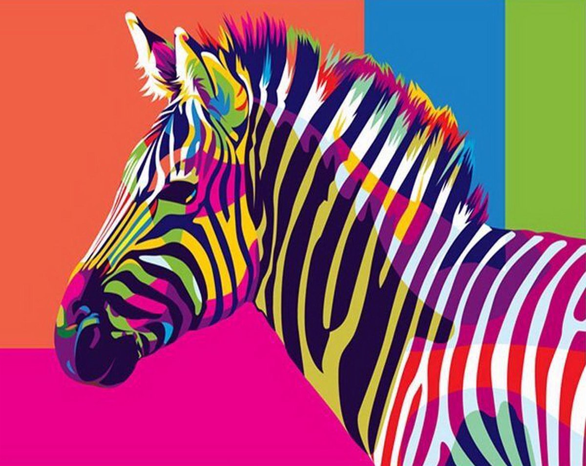 Hobbycave Schilderen Op Nummer - 40x50cm - Verven Op Nummer -  Kinderen & Volwassenen - Gekleurde Zebra