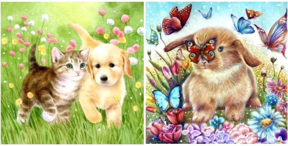 Diamond Painting Kinderen Konijn & Kitten Puppy 20x20 & 25x25 Bundel Pakket – Extra Diamond Painting Accesoires – Acryl Rond 5D Steentjes – Puzzel Hobby Pakket Hobbypainting.nl®