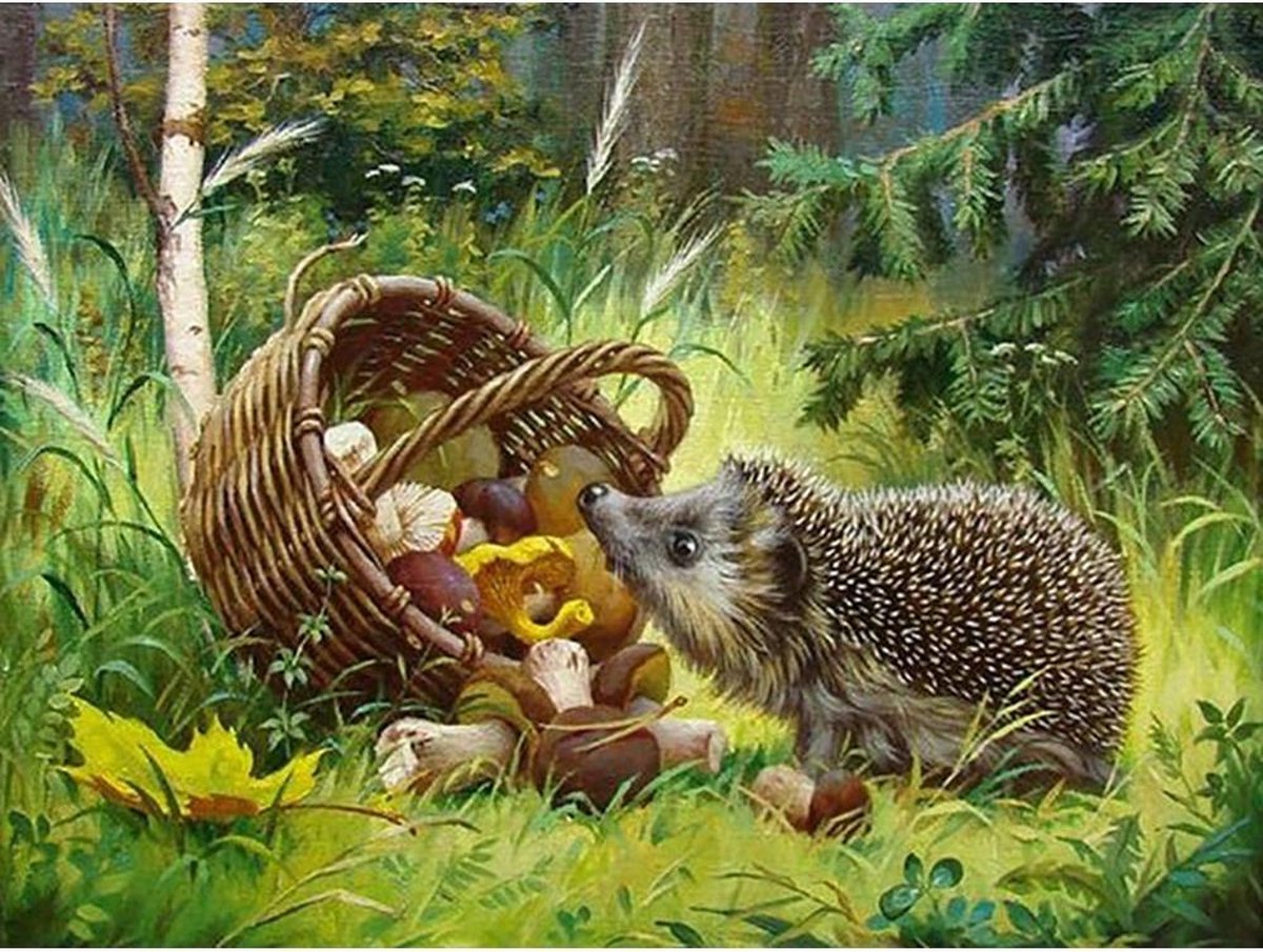 Diamond Painting Volwassenen Egel Dieren 30x40 Pakket – Extra Diamond Painting Accesoires – Acryl Vierkante 5D Steentjes – Landschap Natuur – Puzzel Hobby Pakket Hobbypainting.nl®