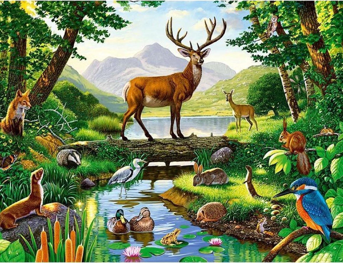 Diamond Painting Volwassenen Hert Dieren 30x40 Pakket – Extra Diamond Painting Accesoires – Acryl Vierkante 5D Steentjes – Landschap Natuur – Puzzel Hobby Pakket Hobbypainting.nl®