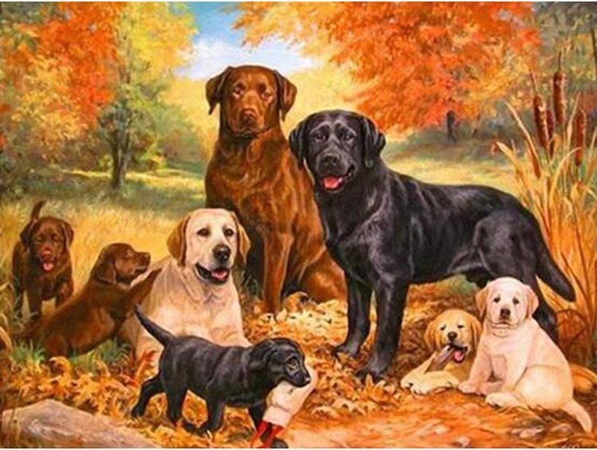 Diamond Painting Volwassenen Hond Puppies 40x50 Dieren Pakket – Extra Diamond Painting Accesoires – Acryl Vierkante 5D Steentjes – Landschap Natuur – Puzzel Hobby Pakket Hobbypainting.nl®