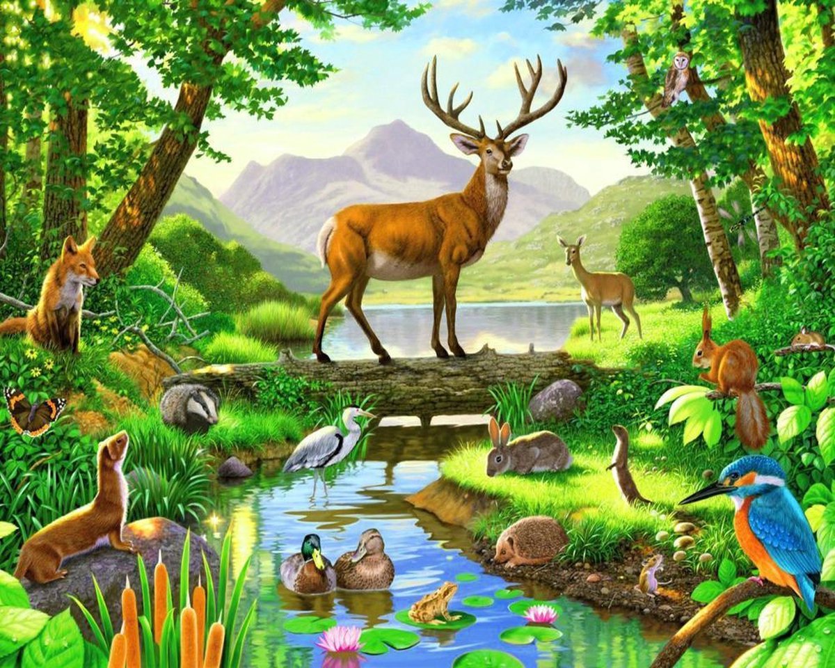 Diamond Painting Volwassenen Jungle Dieren 40x50 Pakket – Extra Diamond Painting Accesoires – Acryl Vierkante 5D Steentjes – Landschap Natuur – Puzzel Hobby Pakket Hobbypainting.nl®