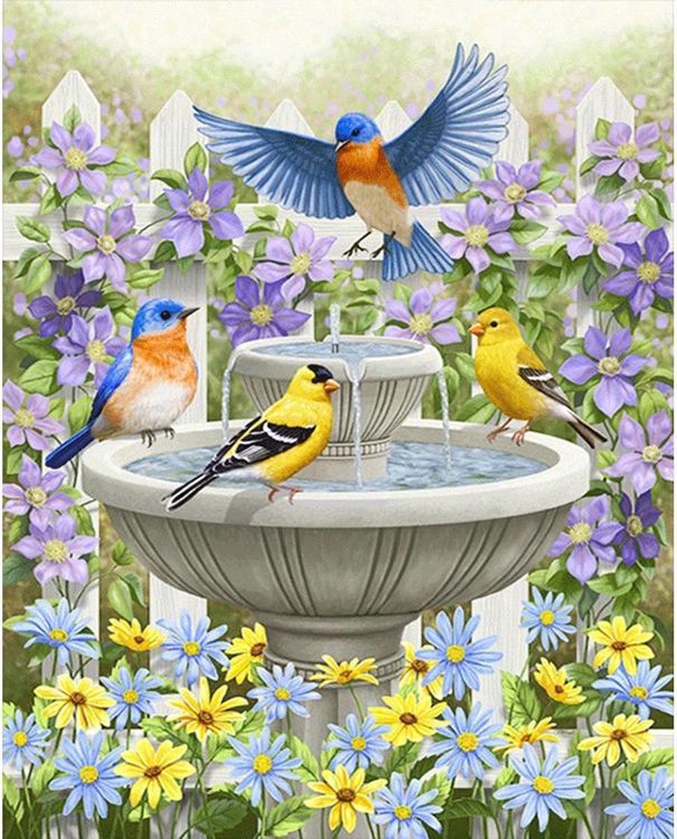 Diamond Painting Volwassenen Kinderen 40x50 Vogels - Volledig Accesoires Pakket - Hobbypainting.nl®