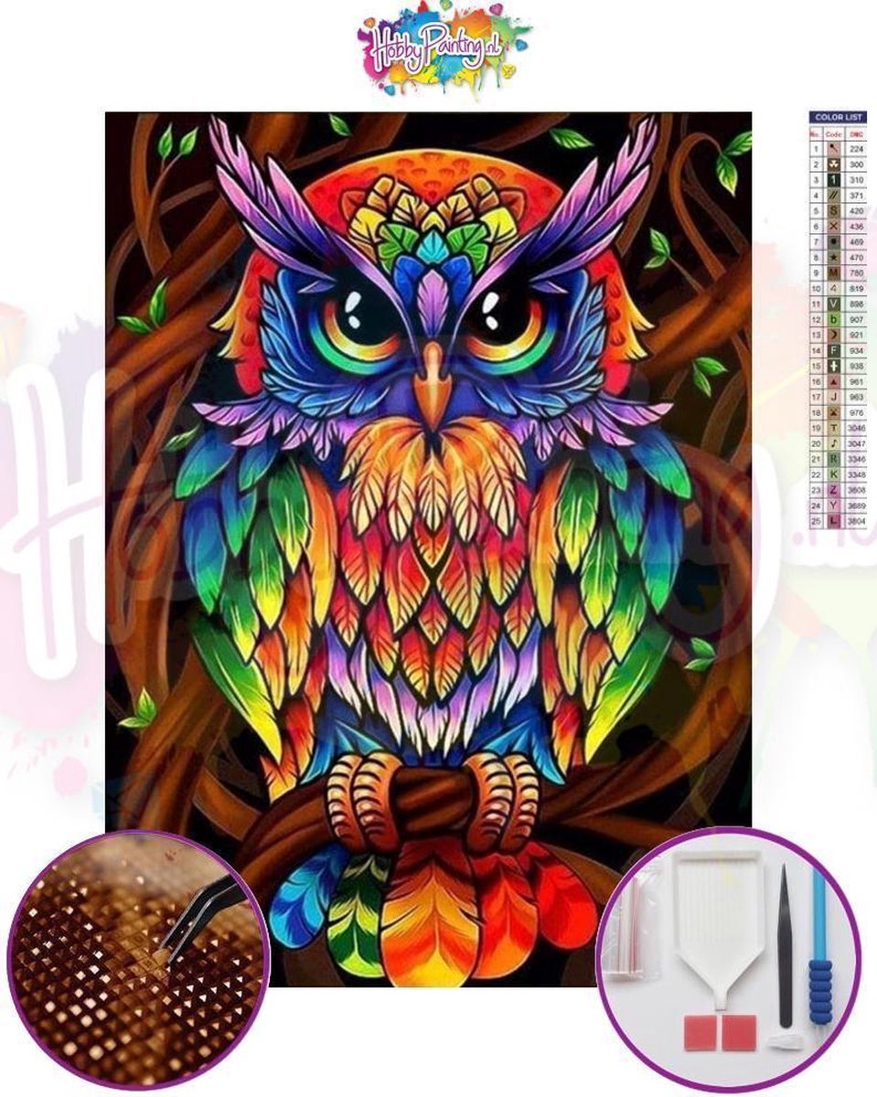 Diamond Painting Volwassenen Uil Dieren 30 x 40 Premium Pakket - 5D Puzzel Acryl Vierkant - Dieren Landschap Natuur – DiamondPainting Hobby - Wand Decoratie Schilderij – Hobbypainting.nl™