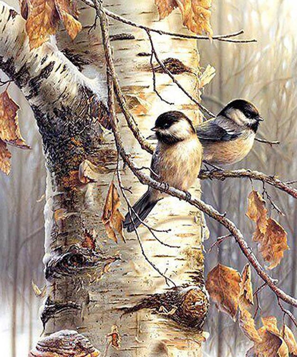 Diamond Painting Volwassenen Vogels 40x50 Dieren Pakket – Extra Diamond Painting Accesoires – Acryl Vierkante 5D Steentjes – Landschap Natuur – Puzzel Hobby Pakket Hobbypainting.nl®