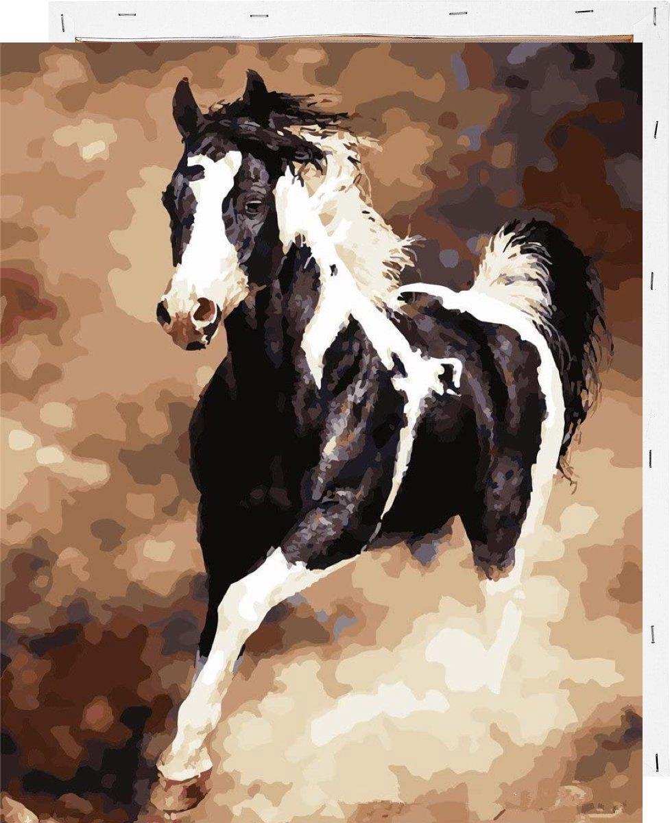 Schilderen op Nummer Paard 40x50 met Frame Volwassenen Kinderen - Kleuren op Nummer - Paint by Number - Hobbypainting.nl®