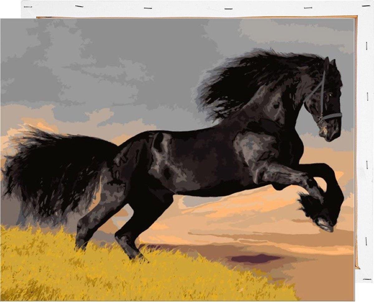 Schilderen op Nummer Paard 40x50 met Frame Volwassenen Kinderen - Kleuren op Nummer - Paint by Number - Hobbypainting.nl®