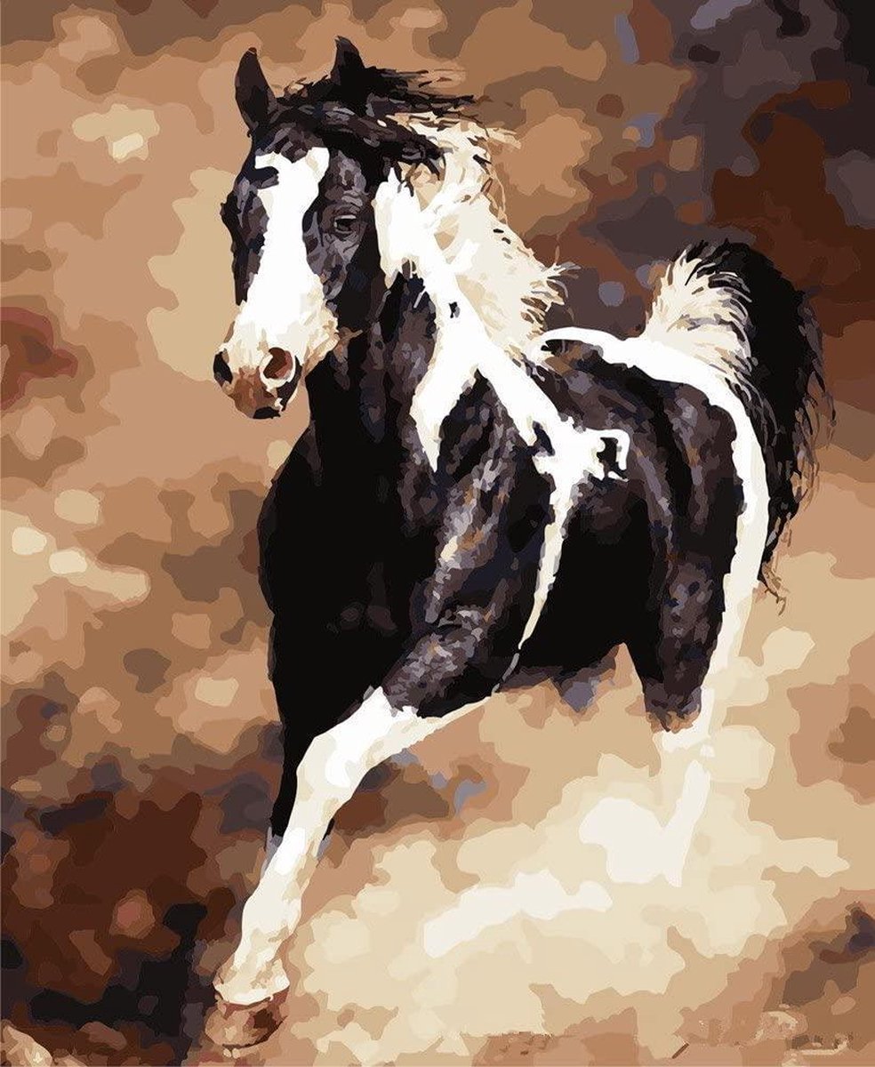 Schilderen op Nummer Paard Volwassenen & Kinderen - Kleuren op Nummer - Paint by Number - Hobbypainting.nl®