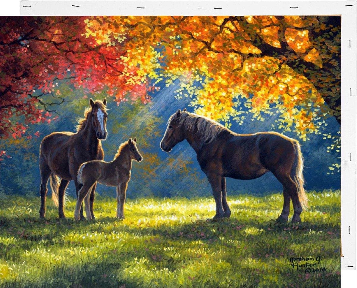 Schilderen op Nummer Paarden 40x50 met Frame Volwassenen Kinderen - Kleuren op Nummer - Paint by Number - Hobbypainting.nl®