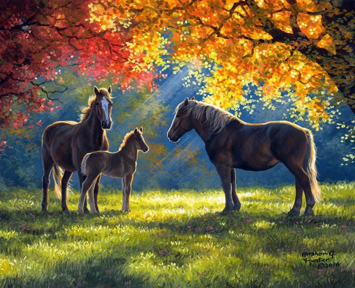 Schilderen op Nummer Paarden Volwassenen & Kinderen - Kleuren op Nummer - Paint by Number - Hobbypainting.nl®