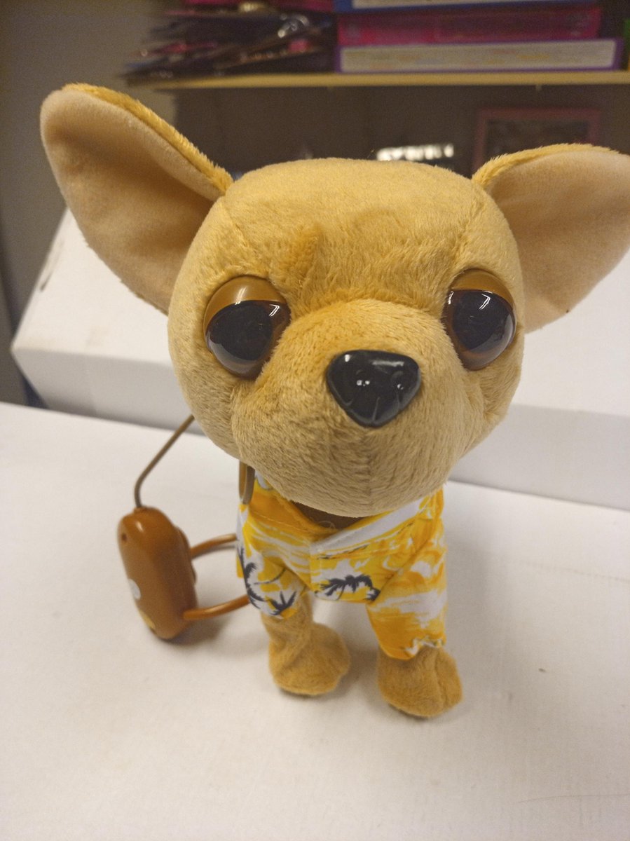 Grote en mooie Chiwawa/Chihuahua loophondje met kabelbediening en leiband kleur tropical geel