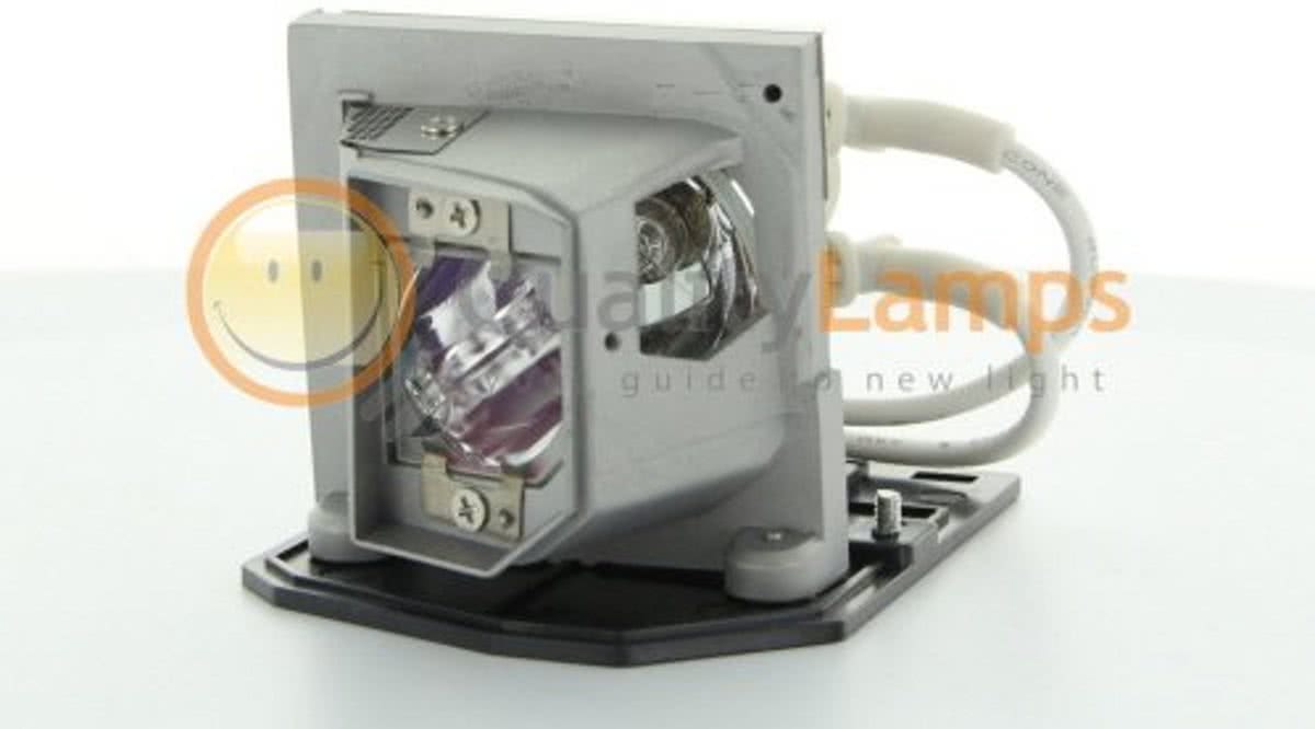 Acer EC.K0100.001 Beamerlamp (bevat originele P-VIP lamp)