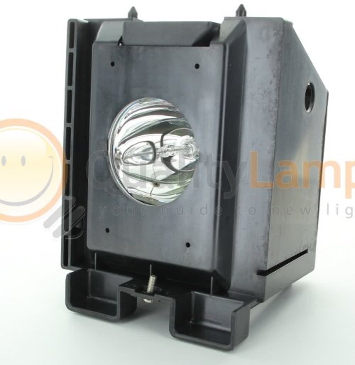 BP96-01073A Projectie TV Lamp (bevat originele P-VIP lamp)