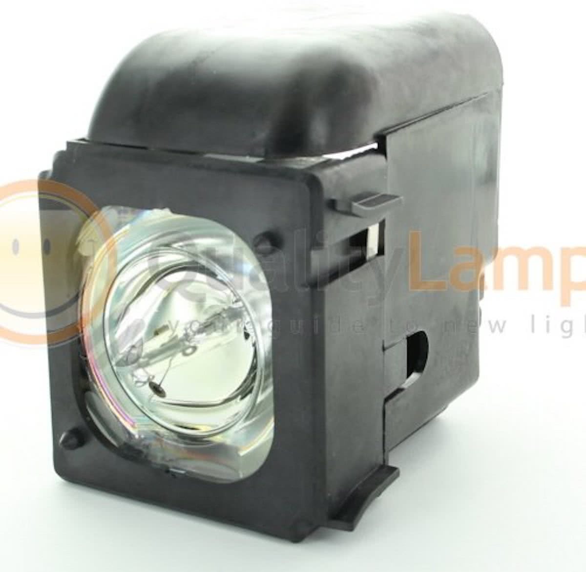 BP96-01653A Projectie TV Lamp (bevat originele P-VIP lamp)