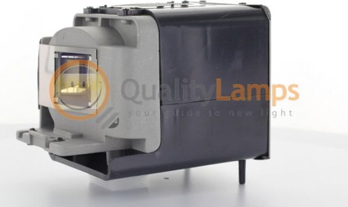 BenQ 5J.J4G05.001 Beamerlamp (bevat originele P-VIP lamp)