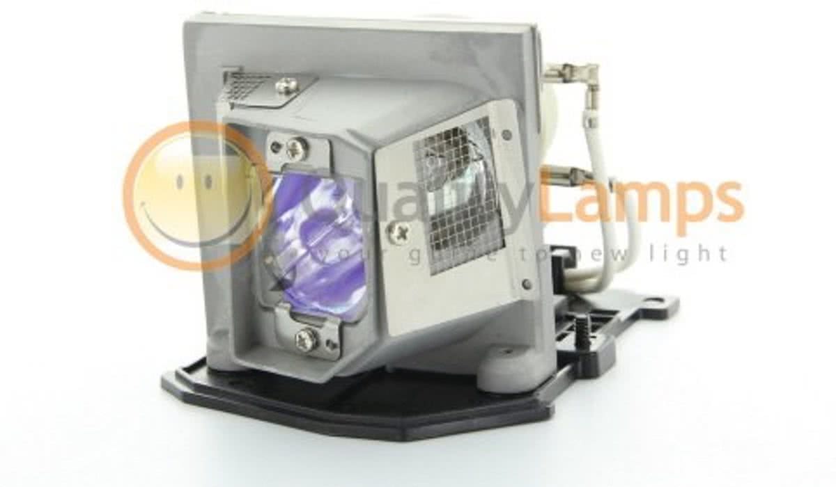 Optoma BL-FP190B / Optoma SP.8VF01GC01 Beamerlamp (bevat originele P-VIP lamp)