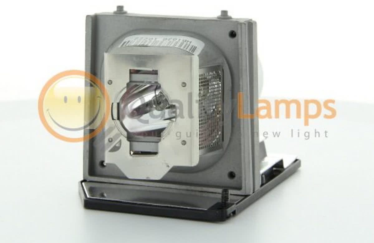 Optoma BL-FP260B / Optoma SP.86R01G.C01 Beamerlamp (bevat originele P-VIP lamp)