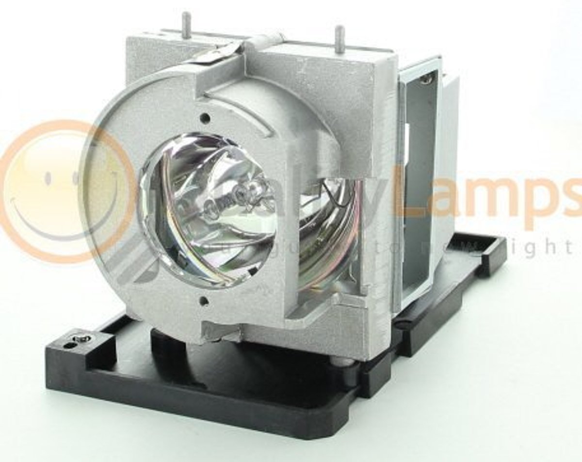 Optoma BL-FU260B / Optoma SP.72701GC01 Beamerlamp (bevat originele UHP lamp)