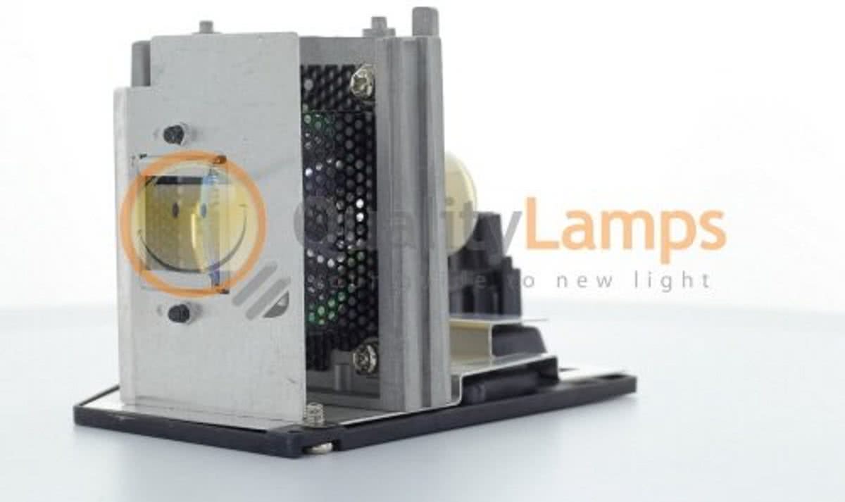 Toshiba TLPLW5 Beamerlamp (bevat originele UHP lamp)