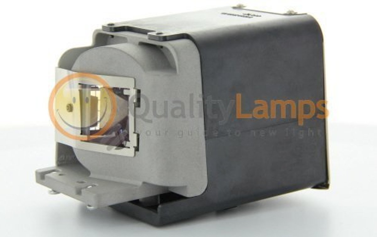 ViewSonic RLC-050 Beamerlamp (bevat originele UHP lamp)