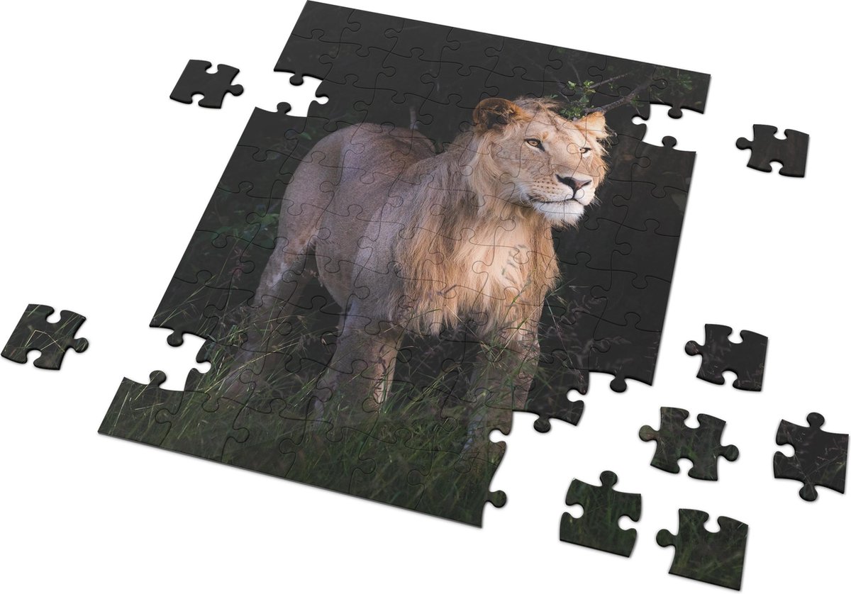 Huurdies - Glans Puzzel - Tijger - 14 x 10 cm  - 24 stuks - Full color