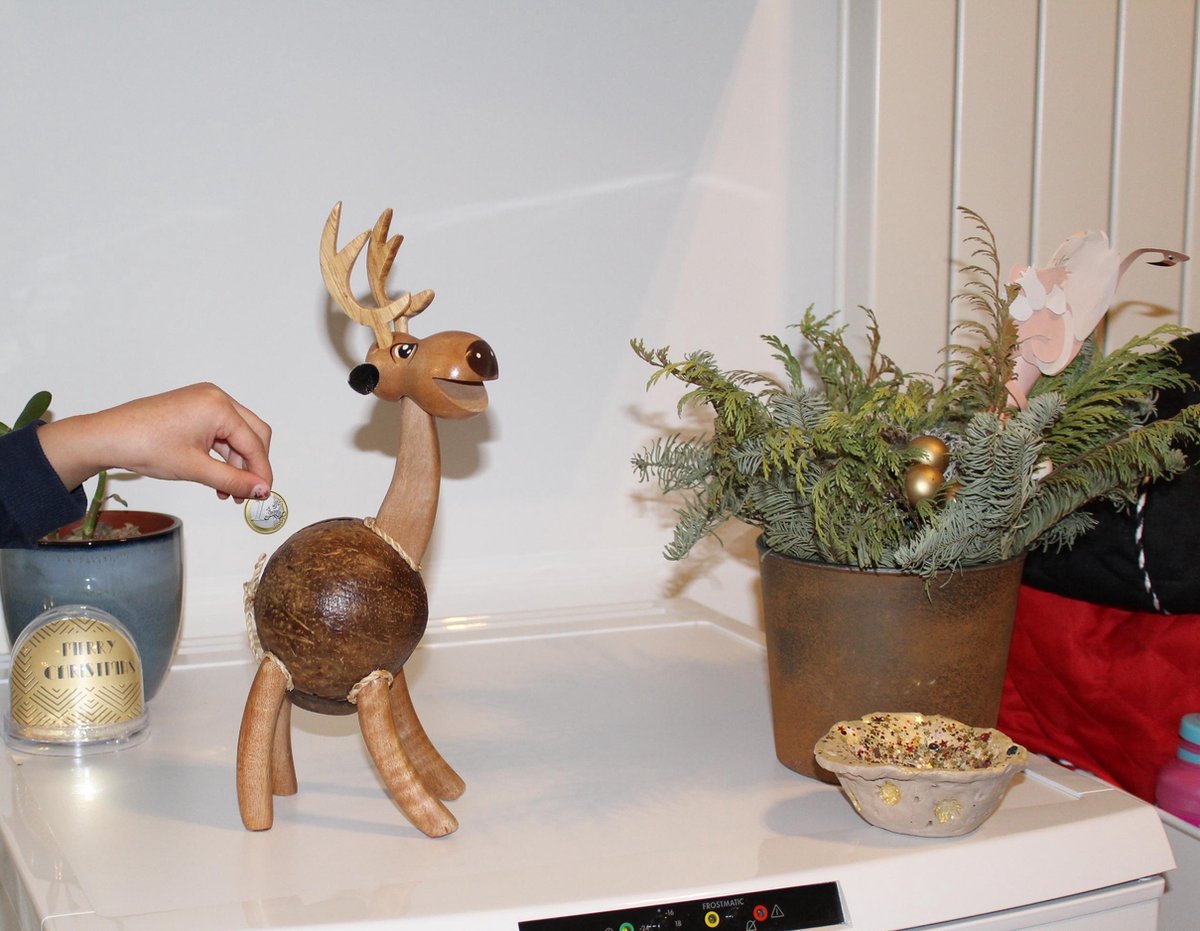 Handgemaakte duurzame kokosnoot spaarpot hert - Eco-Friendly Handmade coconut piggy bank deer