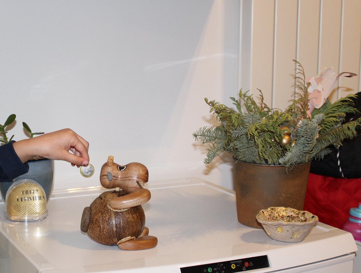 Handgemaakte duurzame kokosnoot spaarpot nijlpaard - Eco-Friendly Handmade coconut piggy bank hippopotamus