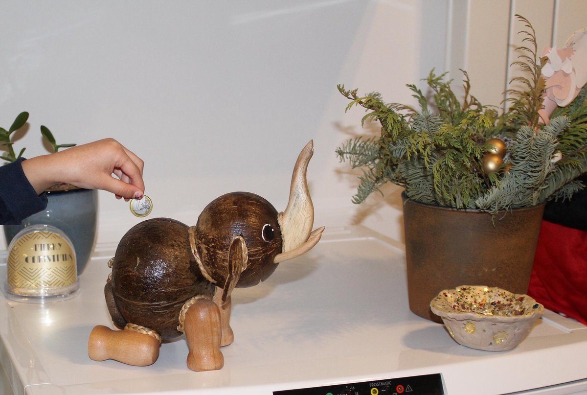 Handgemaakte duurzame kokosnoot spaarpot olifant - Eco-Friendly Handmade coconut piggy bank elephant