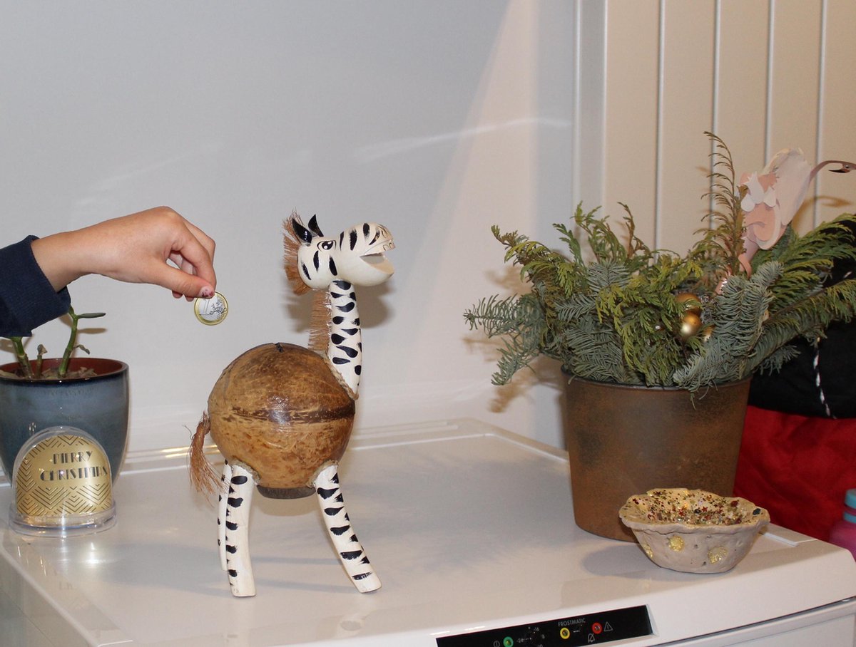 Handgemaakte duurzame kokosnoot spaarpot zebra - Eco-Friendly Handmade coconut piggy bank zebra