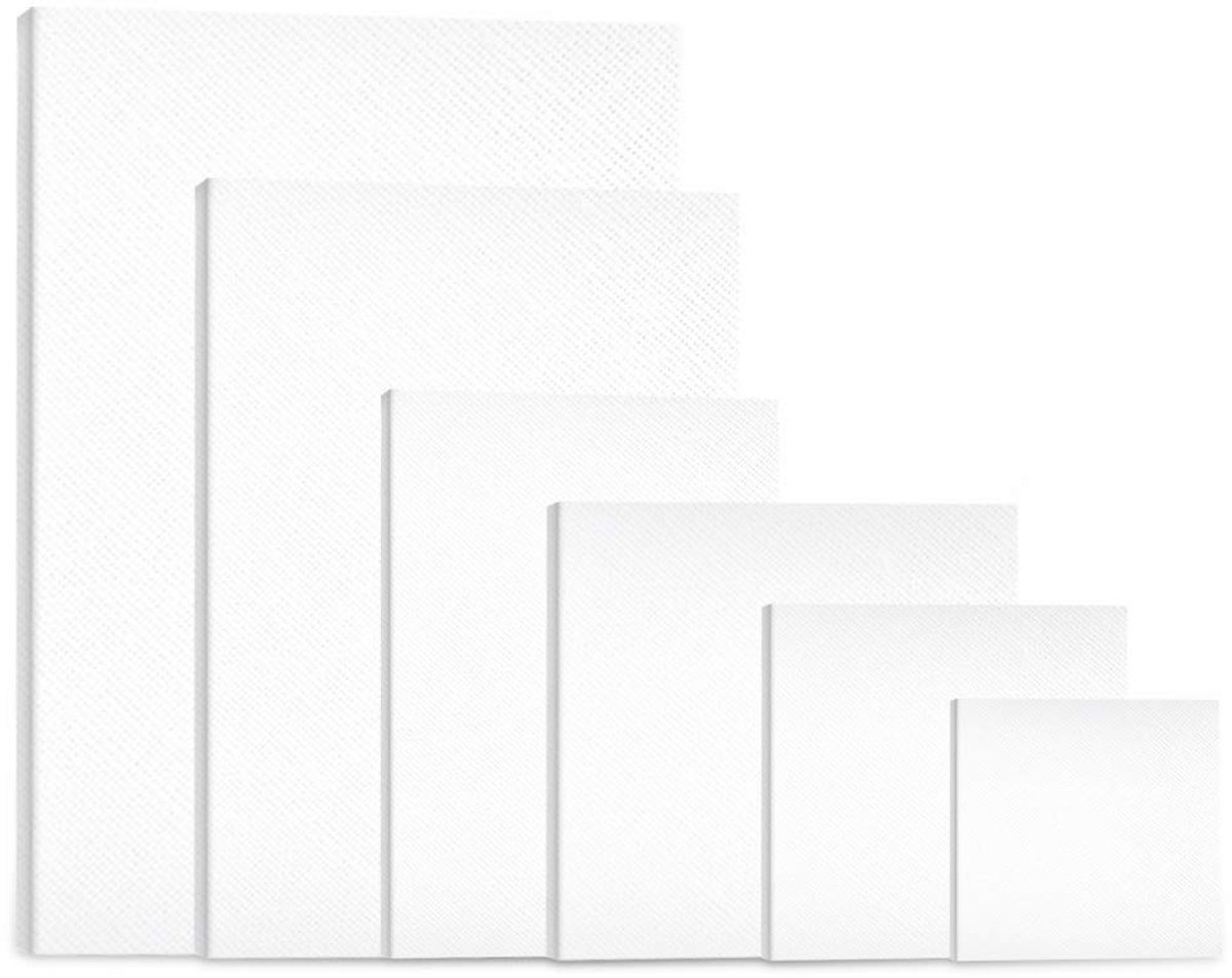  ® Complete Set van 6 Canvasdoeken voor Creatieve Schilderprojecten in Diverse Maten
