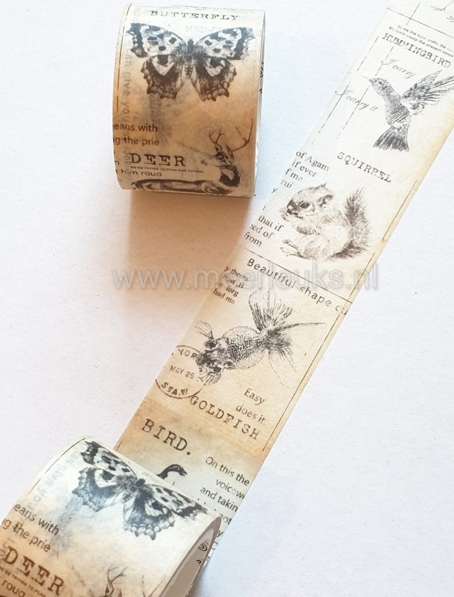 Washi Tape Kraft Flora & Fauna - Masking tape