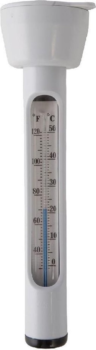 Intex Thermometer