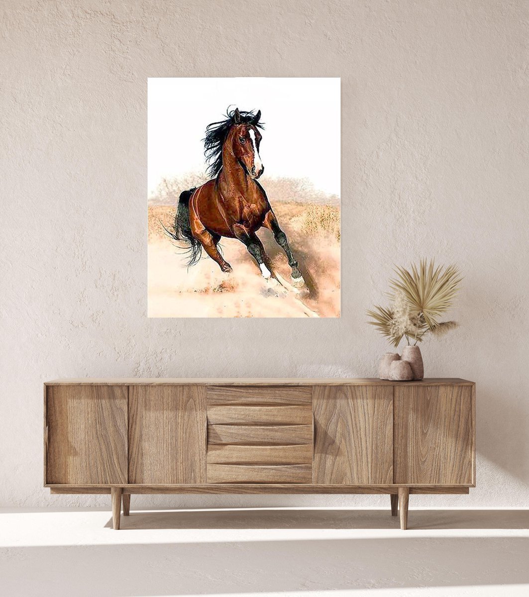 JDBOS ® Schilderen op nummer met frame (hout) - Paard in galop - Verven volwassenen - 40x50 cm