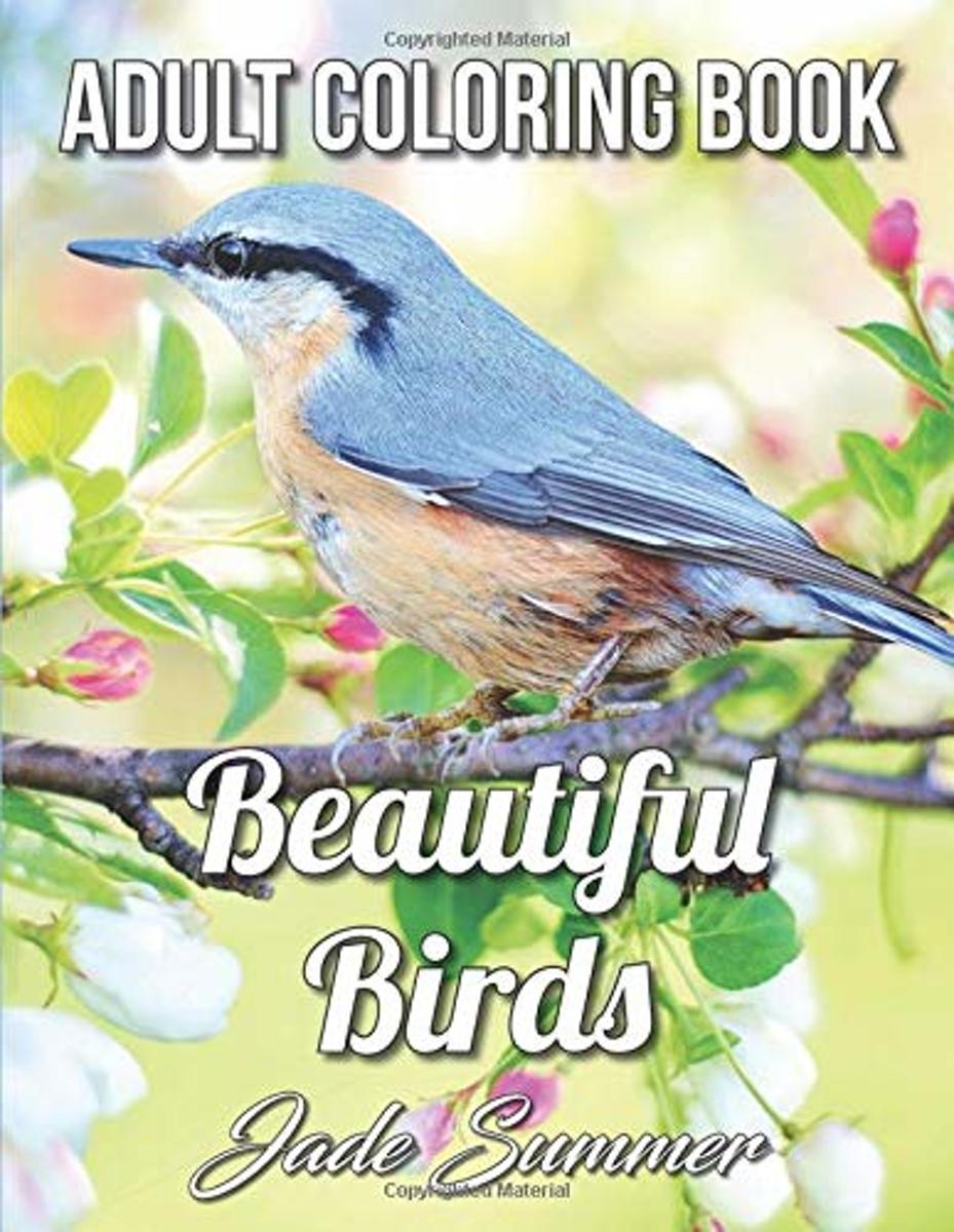 Beautiful Birds An Adult Coloring Book - Jade Summer