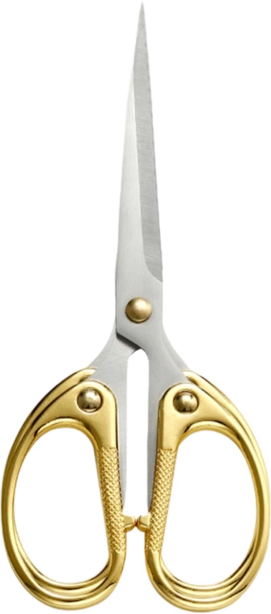 JeiibrZui Naaischaar - Stofschaar - Gemaakt Van Roestvrij Staal Voor Precisieknippen + Minimalistisch Design - 1 - Thuis En Kantoor Gebruik - Goud
