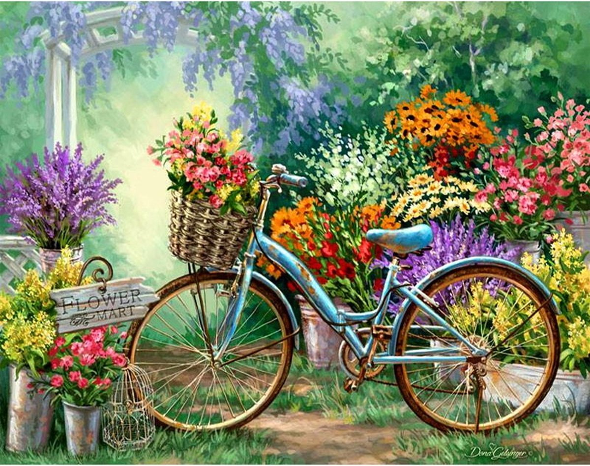 Diamond Painting JobaStores Fiets 50x40cm