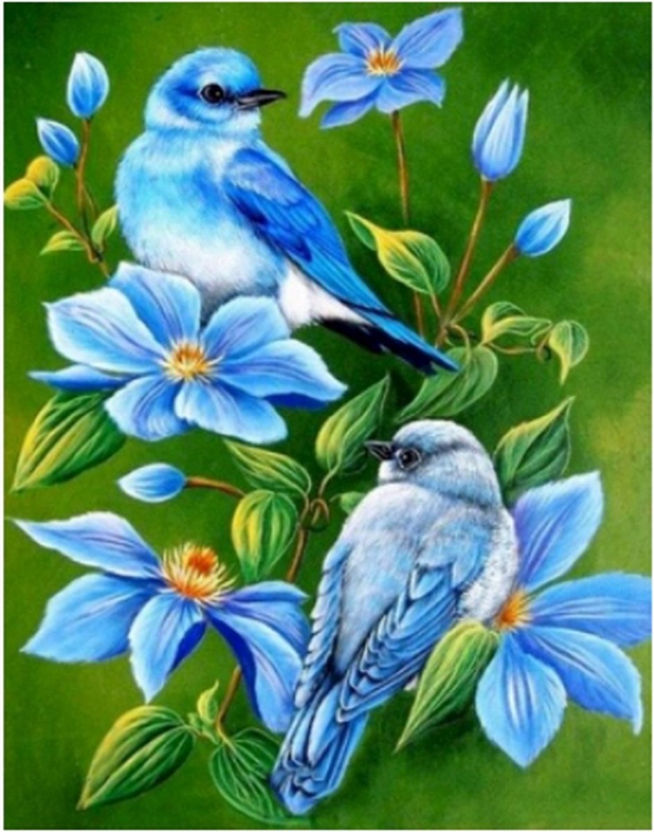 Schilderen op nummer Blauwe Vogels 40x50cm (Color Canvas)