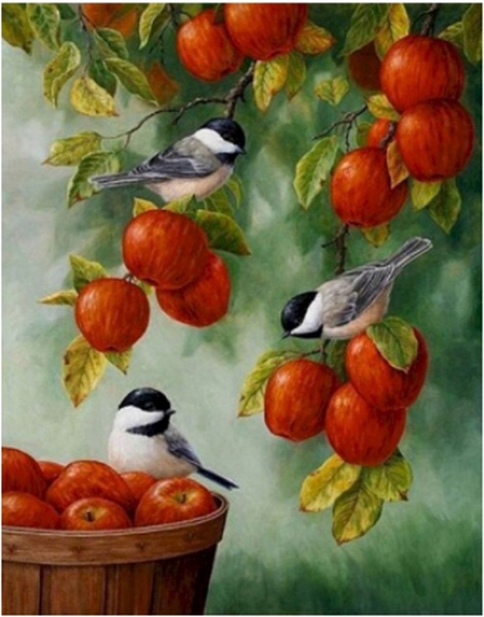 Schilderen op nummer Vogels in appelboom 40x50cm (Color Canvas)