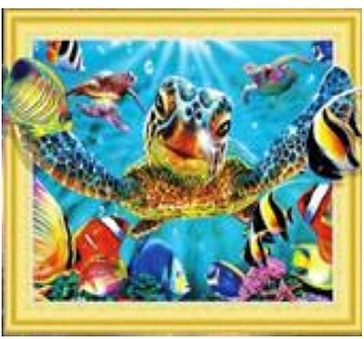 Joyage Diamond Painting Volwassenen 5D - 40 x 50 cm – Gekleurde Schildpad - Ronde Steentjes - Diamond Painting Kinderen - Diamond Painting Pakket volledig - Hobby en creatief volwassenen – Hobby materiaal - Hobby Materialen