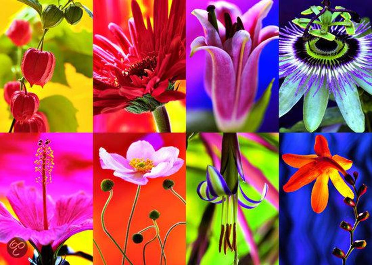 Puzzel 1000 stukjes Bloemencollage