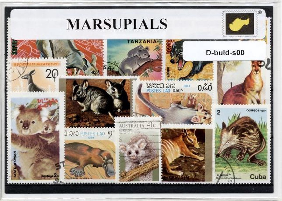 Buideldieren – Luxe postzegel pakket (A6 formaat) : collectie van verschillende postzegels van buideldieren – kan als ansichtkaart in een A6  envelop - authentiek cadeau - kado - kaart - buidel - kangaroe - koala - tasmaanse duivel