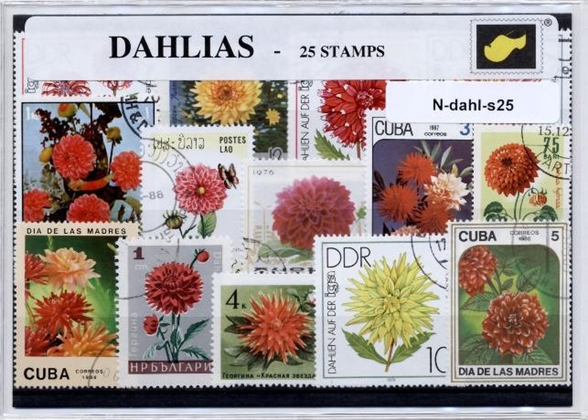 Dahlias  – Luxe postzegel pakket (A6 formaat) : collectie van 25 verschillende postzegels van dahlias – kan als ansichtkaart in een A6 envelop - authentiek cadeau - kado - geschenk - kaart - composieten - dahlia - bolgewas - plant - kleurig