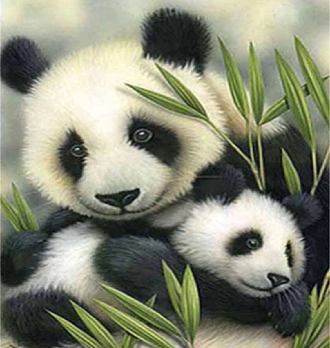 Diamond Painting - Pandas - Panda - Pandabeer - 20 x 20 cm