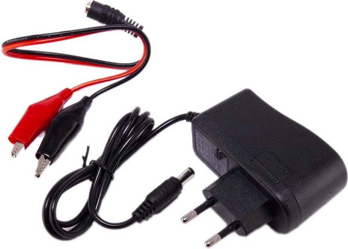 Universele 6V oplader - druppelader - acculader 5.5 x 2.1mm voor elektrische kinderauto - kindermotor - kinderquad - kindertractor - accuvoertuig