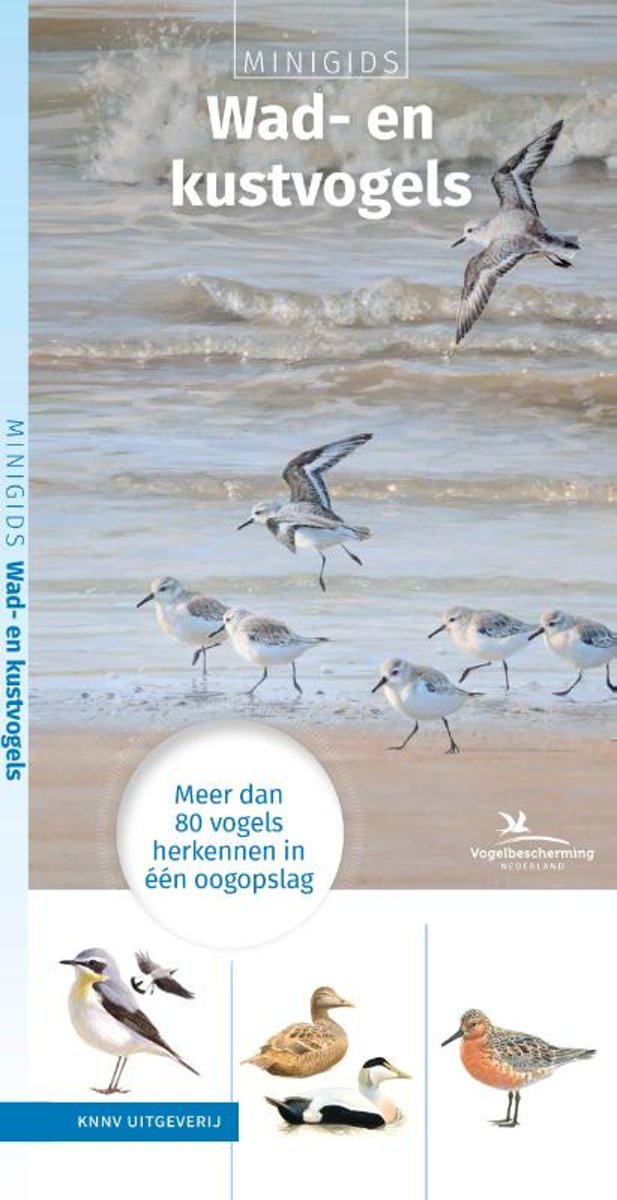 Kinderboeken KNNV - Minigids wad- en kustvogels